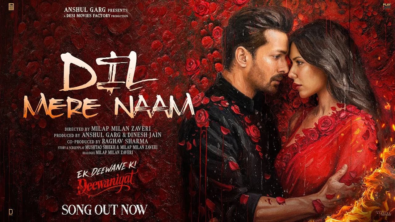 DIL MERE NAAM